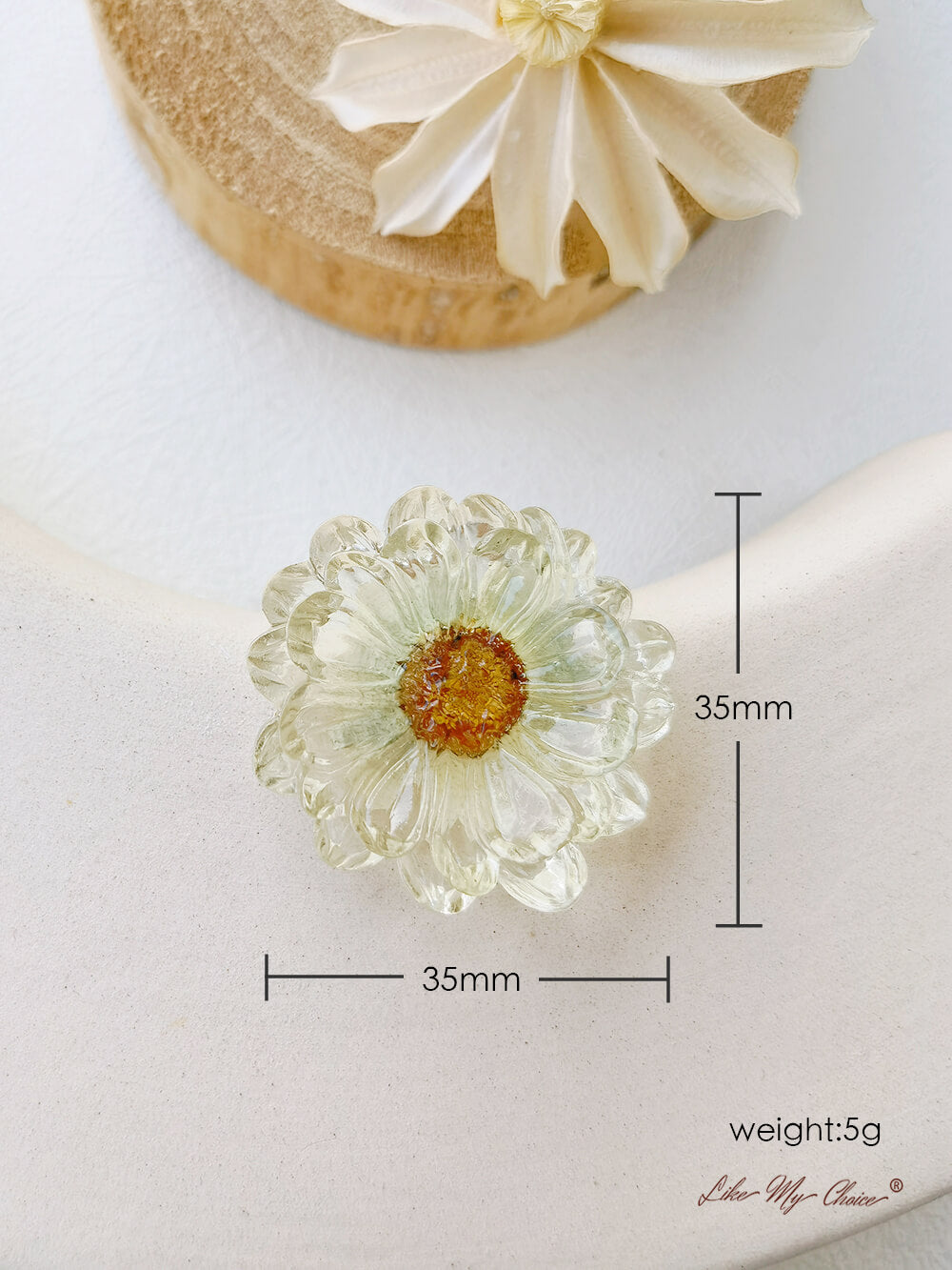 Pressed Flower Drop Earring - Pastoral Resin Daisy