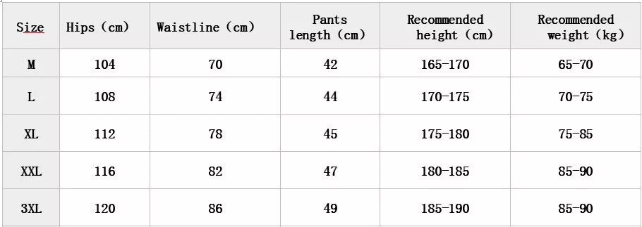 2-in-1 Running and Gym Quick Dry Shorts for Men